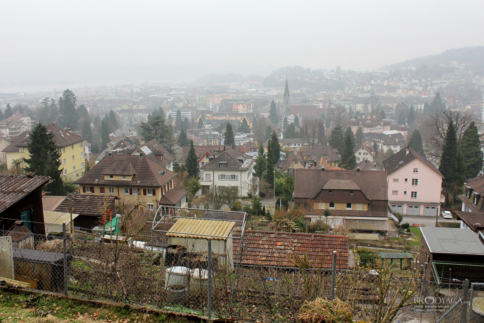Lucerne